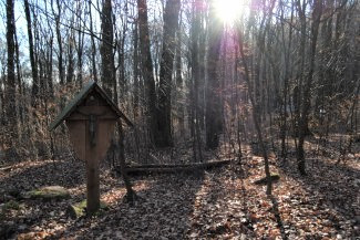 Bestattungen_Symbolbild